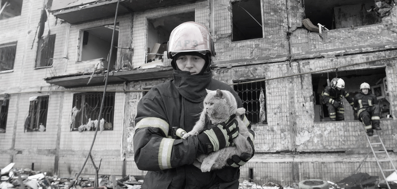 Rescuer holding a cat