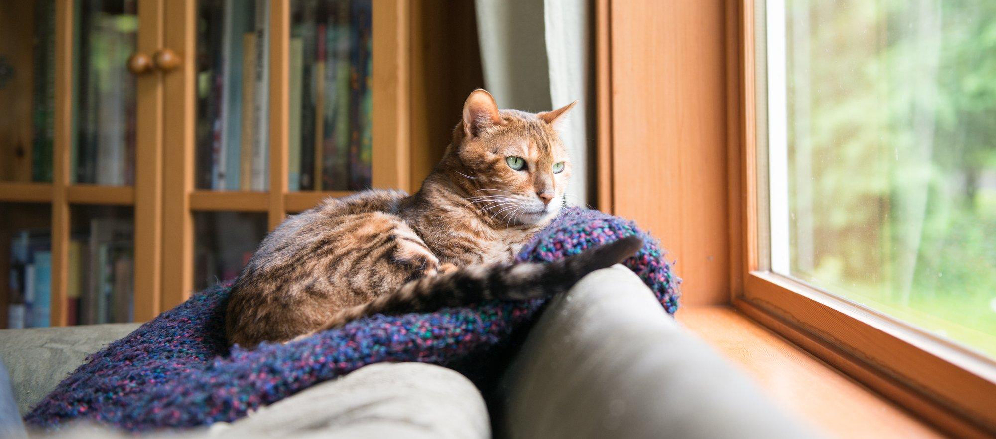 Documents and transport preparation